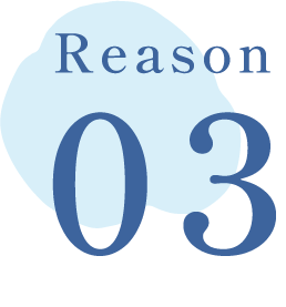 reason03